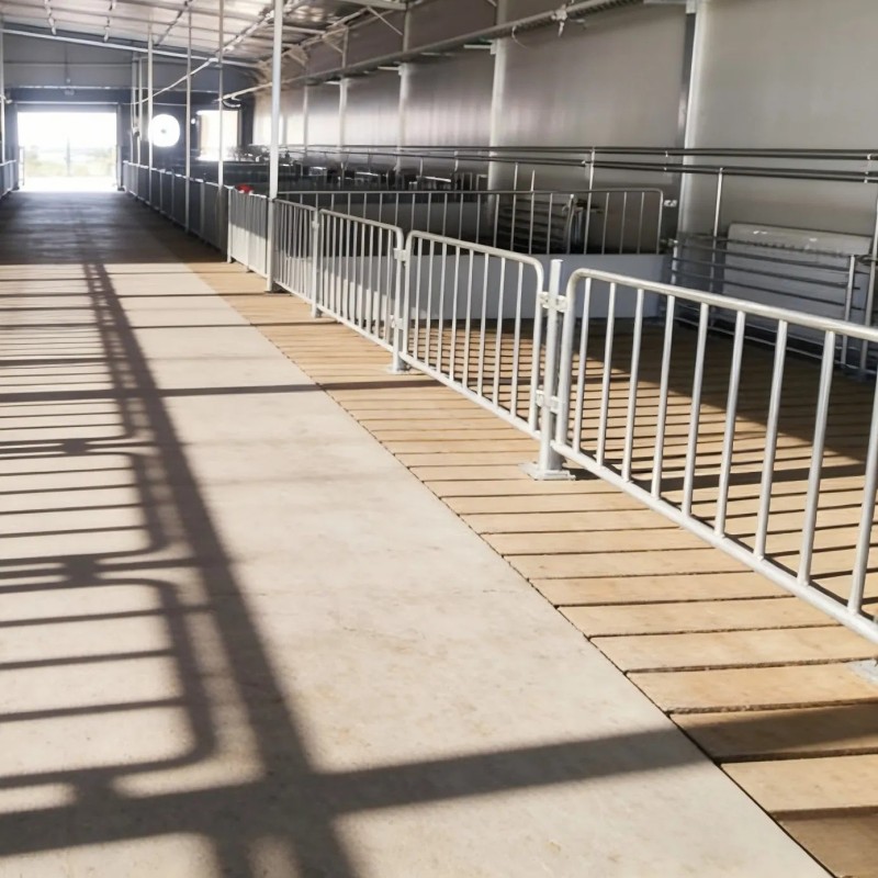 European Style Waterproof Pig Isolation Pens for Farm Use