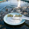 95% Bile Acid Shrimp Feed Additive Improves Feed Conversion Rate Improves Shrimp Fcr Bile Acid