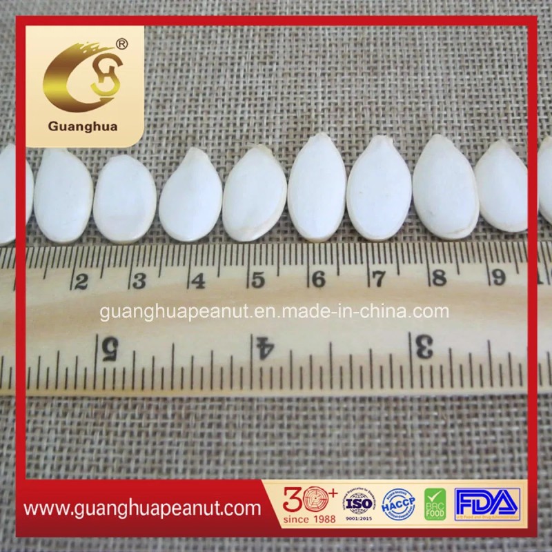 New Crop Best Quality Snow White Pumpkin Seeds