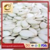 New Crop Best Quality Snow White Pumpkin Seeds
