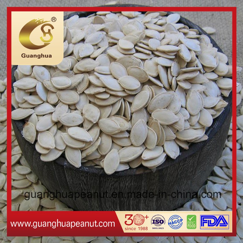 New Crop Best Quality Snow White Pumpkin Seeds