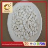 New Crop Best Quality Snow White Pumpkin Seeds