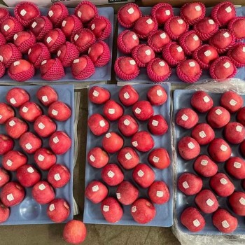 New Crop Wholesale OEM Preserved Fresh Red Delicious Star Full Blush FUJI Huaniu Apple