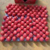 New Crop Wholesale OEM Preserved Fresh Red Delicious Star Full Blush FUJI Huaniu Apple