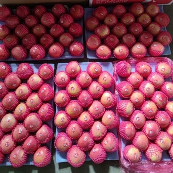 New Crop Wholesale OEM Preserved Fresh Red Delicious Star Full Blush FUJI Huaniu Apple