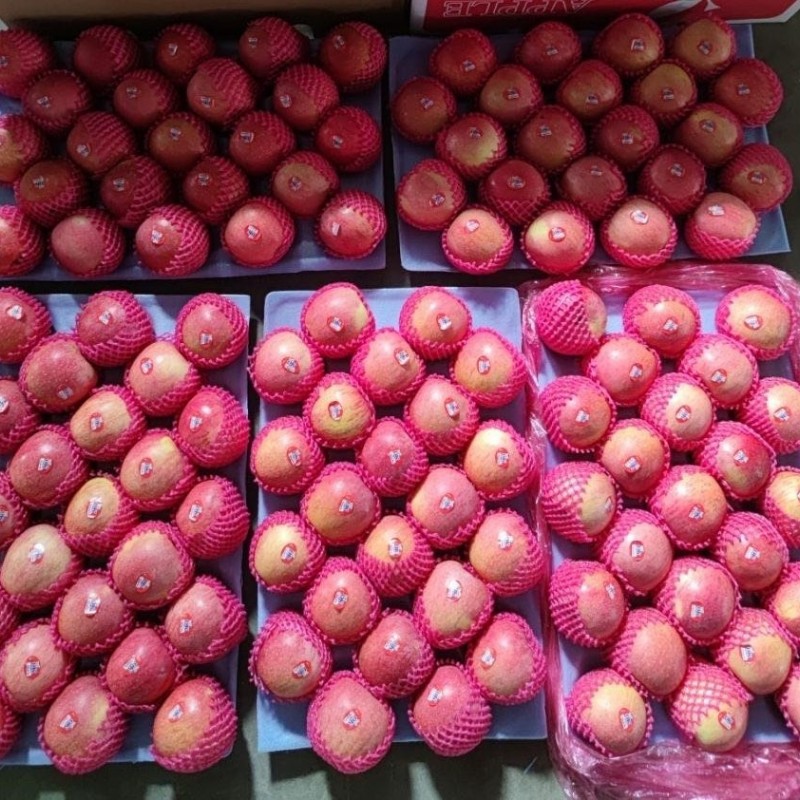 New Crop Wholesale OEM Preserved Fresh Red Delicious Star Full Blush FUJI Huaniu Apple
