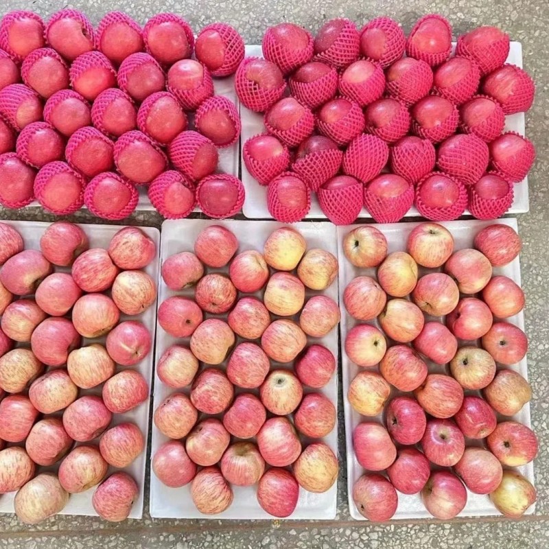 New Crop Wholesale OEM Preserved Fresh Red Delicious Star Full Blush FUJI Huaniu Apple