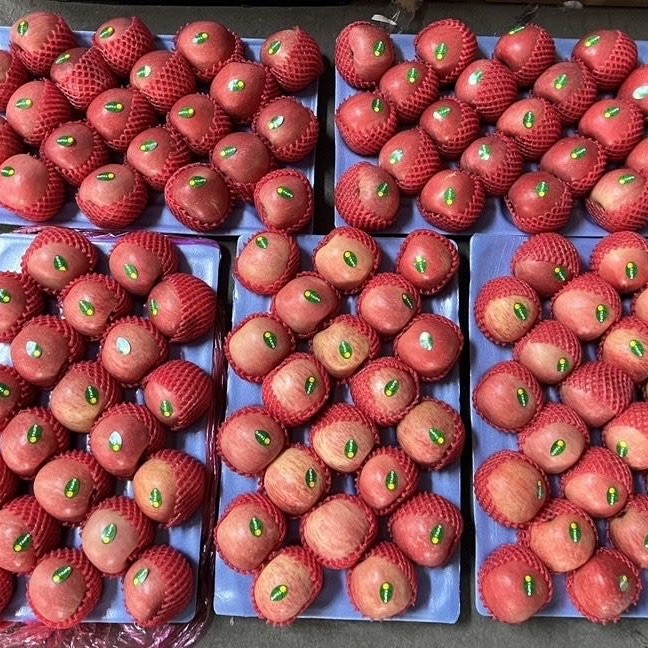 New Crop Wholesale OEM Preserved Fresh Red Delicious Star Full Blush FUJI Huaniu Apple