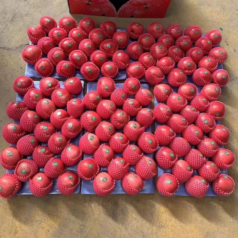 New Crop Wholesale OEM Preserved Fresh Red Delicious Star Full Blush FUJI Huaniu Apple