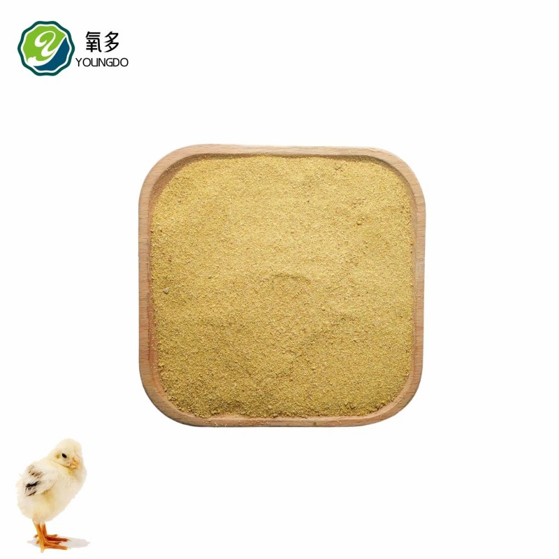 All-Rounder Corn Gluten Feed 45% Protein