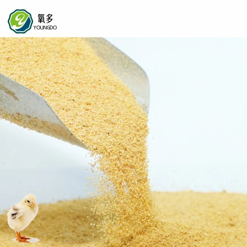 All-Rounder Corn Gluten Feed 45% Protein