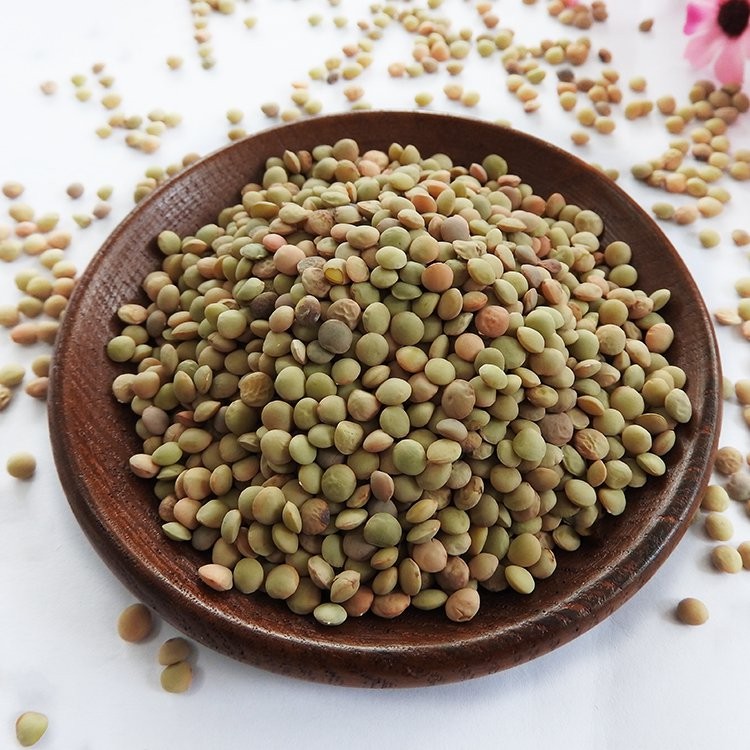 Chinese Lentils Low Price Green Lentils and Pulses