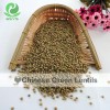 Chinese Lentils Low Price Green Lentils and Pulses