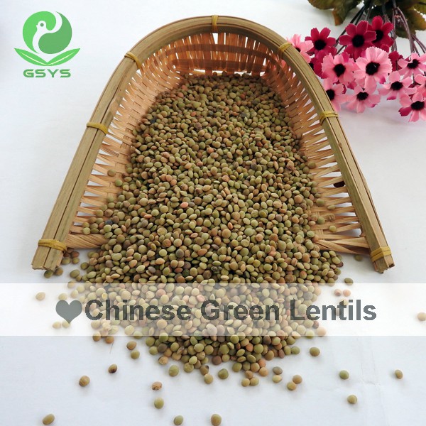 Chinese Lentils Low Price Green Lentils and Pulses