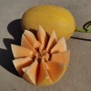 Hybrid F1 Net Hami Melon Seeds with Orange Flesh for Sowing