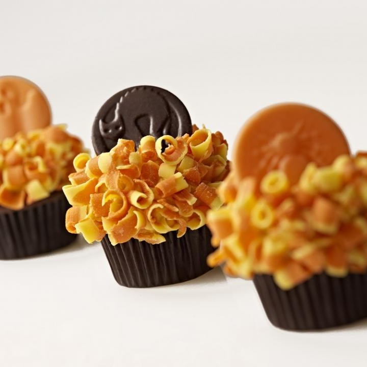 Fiber Resistant Dextrin Corn and Tapioca Raw Material Powder and Syrup Water