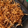 Sweet & Tender Cordyceps Flower - Dried Edible Fungi for Soup & Stew