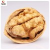 Wholesale/Distribution Dried Walnut in Shell From China