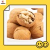 Wholesale/Distribution Dried Walnut in Shell From China