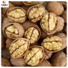 Wholesale/Distribution Dried Walnut in Shell From China