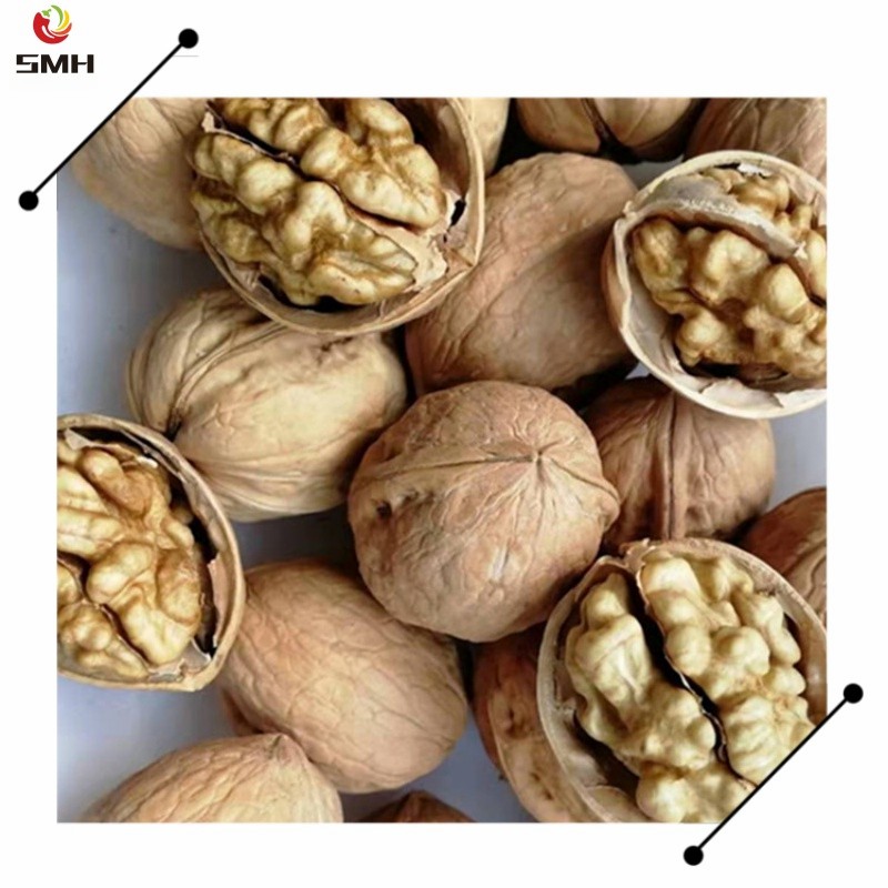 Wholesale/Distribution Dried Walnut in Shell From China