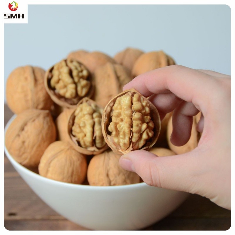 Wholesale/Distribution Dried Walnut in Shell From China