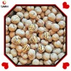 Wholesale/Distribution Dried Walnut in Shell From China