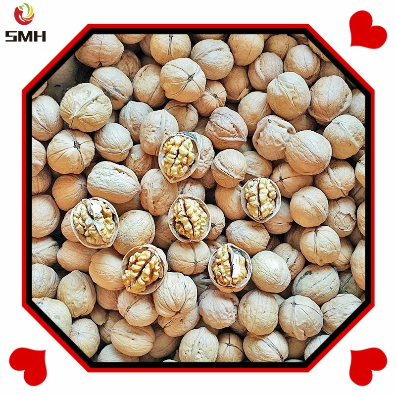 Wholesale/Distribution Dried Walnut in Shell From China