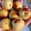 Excellent Quality Fresh Sweet Apple Dates Fresh Jujube Fruits Winter Jujube