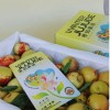 Excellent Quality Fresh Sweet Apple Dates Fresh Jujube Fruits Winter Jujube