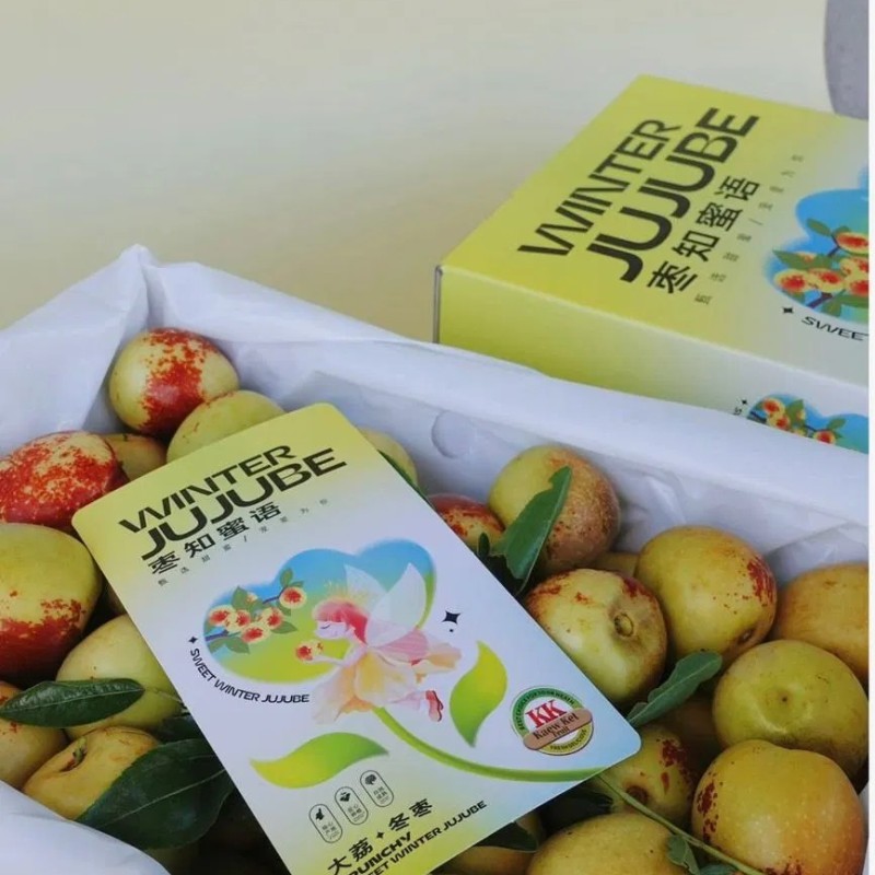 Excellent Quality Fresh Sweet Apple Dates Fresh Jujube Fruits Winter Jujube