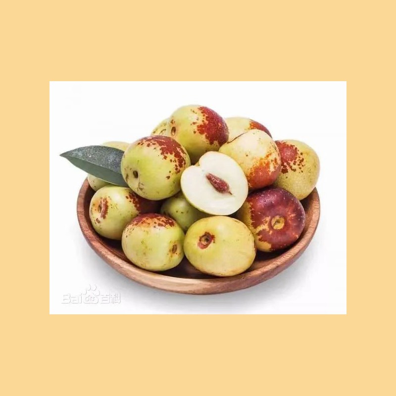 Excellent Quality Fresh Sweet Apple Dates Fresh Jujube Fruits Winter Jujube
