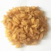 Wholesale Great Quality Organic Dried Fruits Dried Raisins Prices
