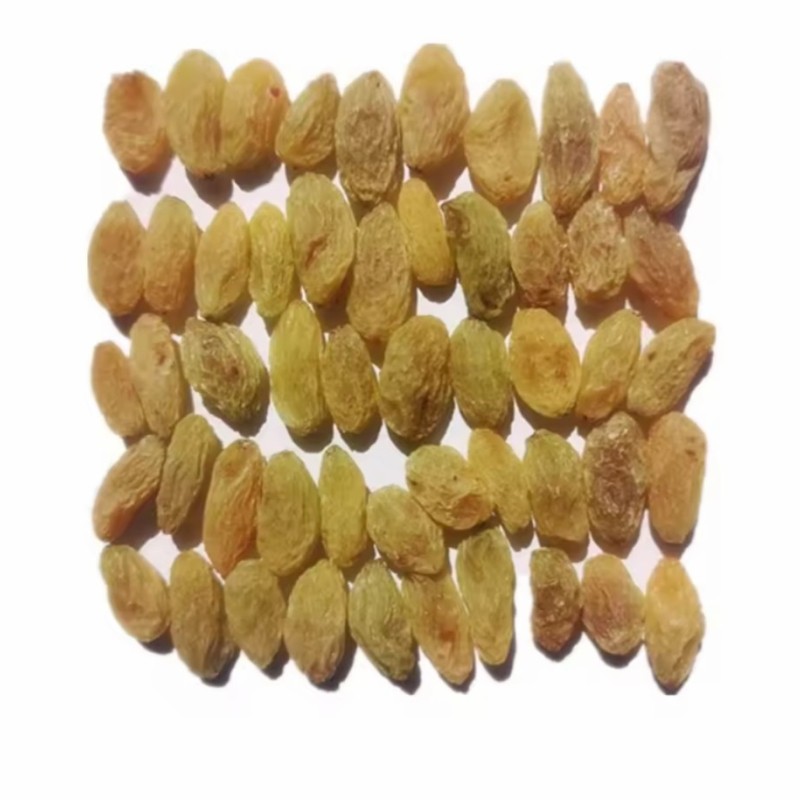 Wholesale Great Quality Organic Dried Fruits Dried Raisins Prices