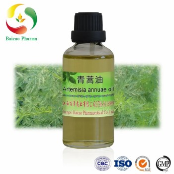 Natural Mugwort Leaf Oil Artemisia Oil Essential Oil