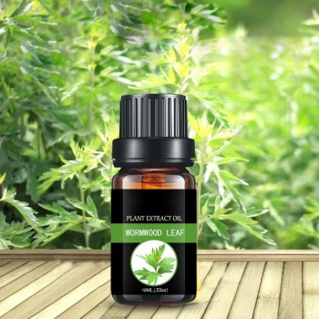 Natural Mugwort Leaf Oil Artemisia Oil Essential Oil