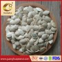 2023 New Crop Shine Skin Pumpkin Seeds High Quality