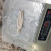 Frozen Breaded Squid Tentacles, IQF