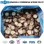 Frozen Champignon Frozen Mushroom Shiitake Mushrooms