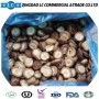 Frozen Champignon Frozen Mushroom Shiitake Mushrooms