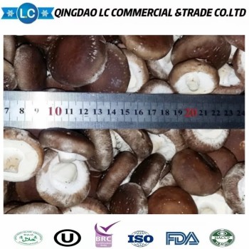 Frozen Champignon Frozen Mushroom Shiitake Mushrooms
