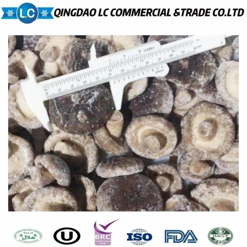 Frozen Champignon Frozen Mushroom Shiitake Mushrooms