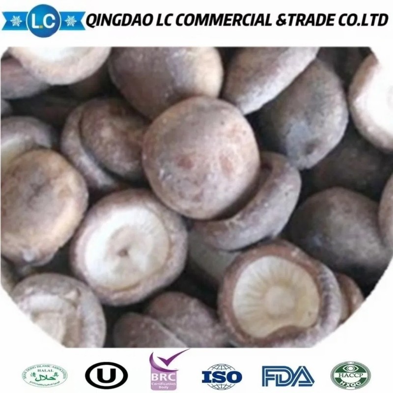 Frozen Champignon Frozen Mushroom Shiitake Mushrooms