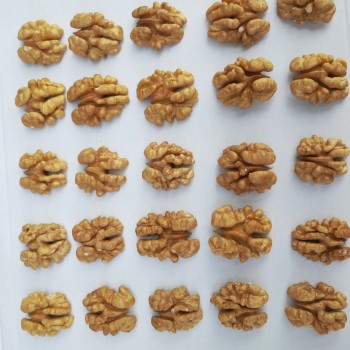 Organic-Certified Extra-Large Premium Walnuts Xinfeng Walnut Kernels