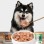 Free Sample/OEM/ODM High Protein Grain-Free Organic Wet Cat and Dog Can