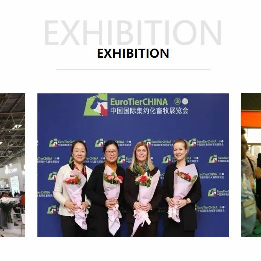 Choline Chloride 60% Corn COB Factory Price