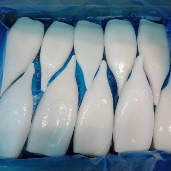 Frozen Squid Tube, Todarodes Pacificus