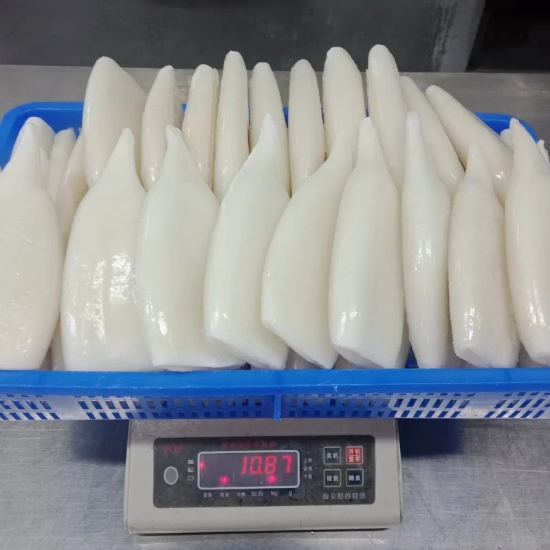 Frozen Squid Tube, Todarodes Pacificus