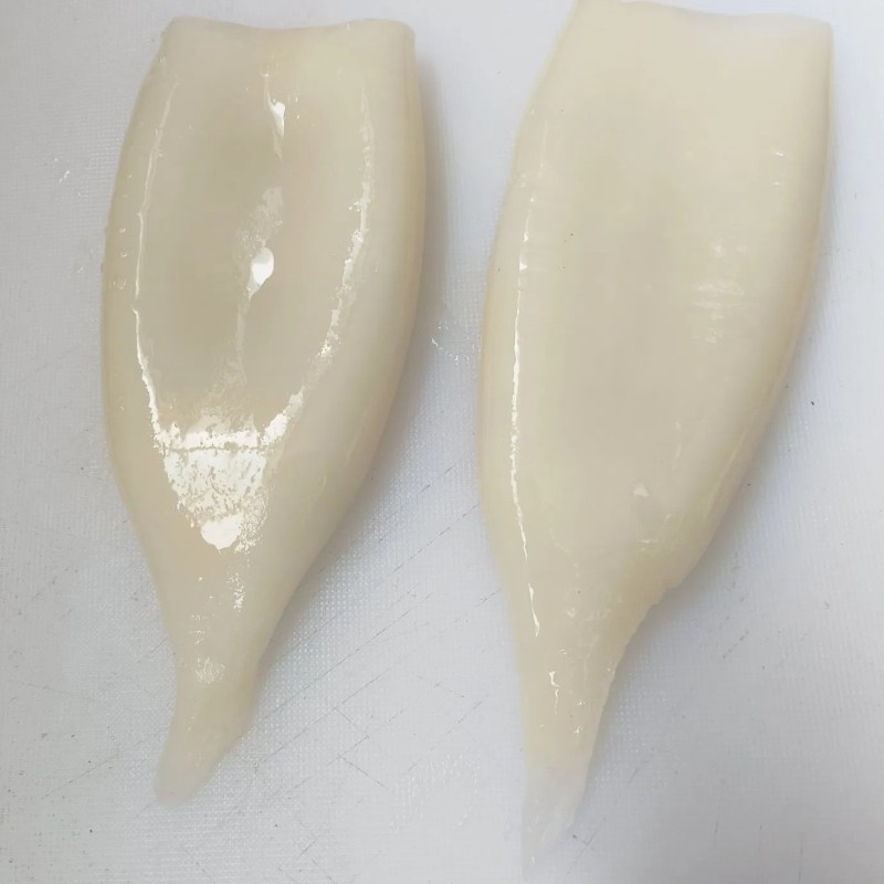 Frozen Squid Tube, Todarodes Pacificus