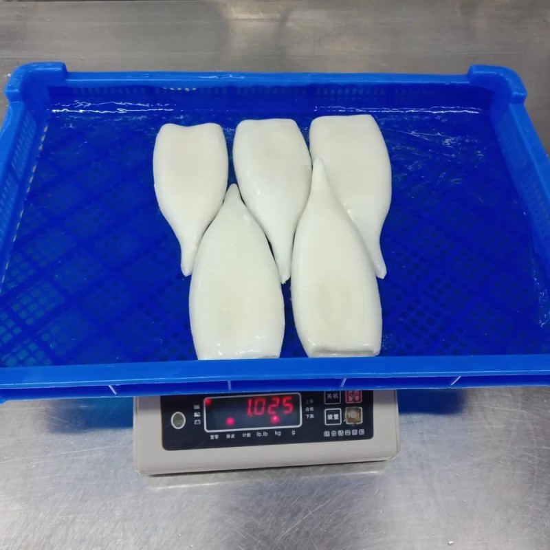 Frozen Squid Tube, Todarodes Pacificus